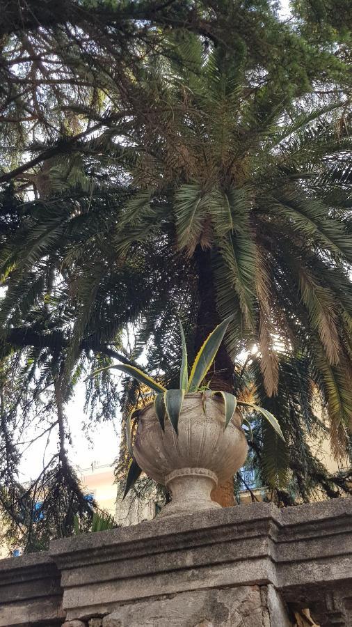 B&B Il Cedro Cava deʼ Tirreni Zewnętrze zdjęcie